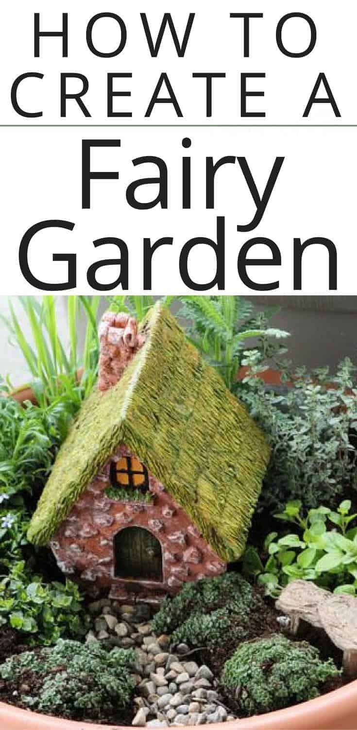 How to create a fairy garden with grass roof fairy house and small herbs in pot.