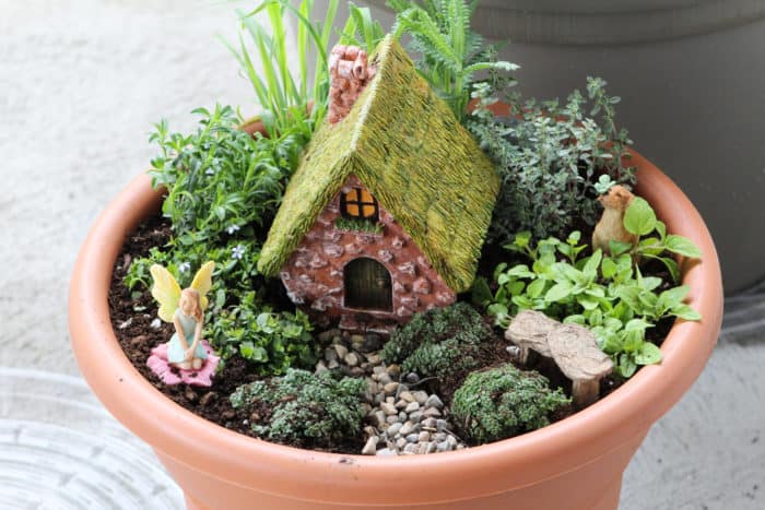 Large pot outside with fairy house, dog, fairy and small herbs and plants