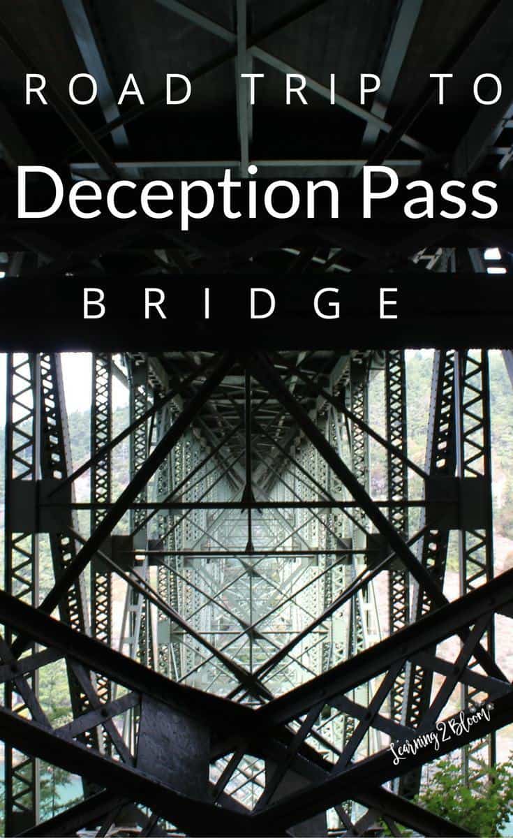 Road trip to Deception Pass Bridge - view of steel beams architechture underneath bridge