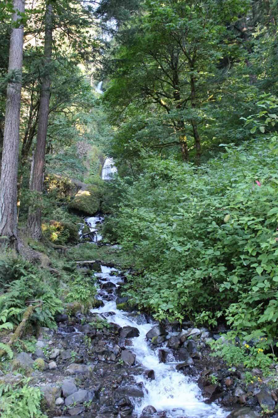 Wahkeena Waterfall, Oregon Road trip