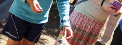 Girl hand feeding kangaroo