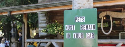 Green sign that says Pets must remain in your car at the Outback kangaroo farm