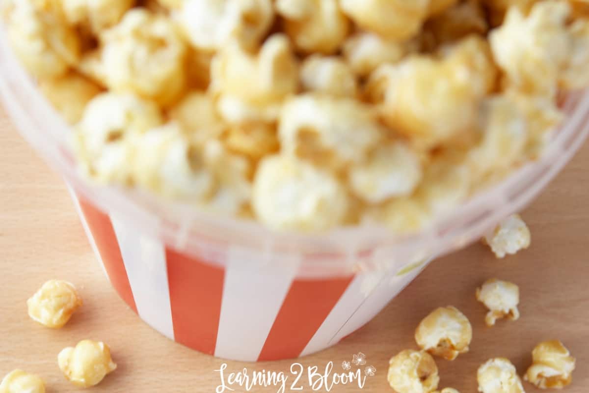 Summer Dollar Movies Learning2Bloom