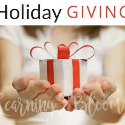 Holiday Giving- How can you help others in need who are in your own neighborhood, community, or even who have moved away? Check out these gift giving ideas. Show everyone you know that they are loved and thought about by someone. #giving #LightTheWorld #singlemom #volunteering