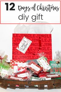 12 Days of Christmas DIY Gift  Learning2Bloom
