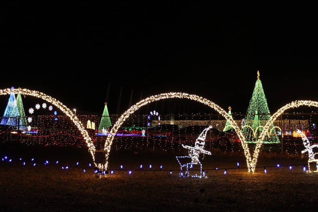 Elf and tree Christmas lights