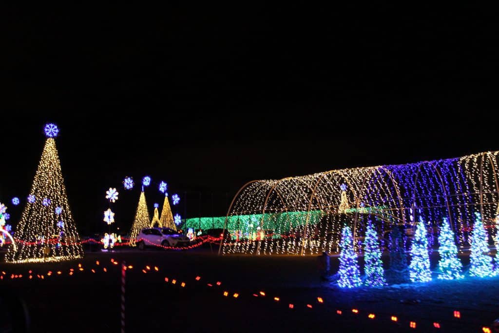 View of colored drive through Christmas lights