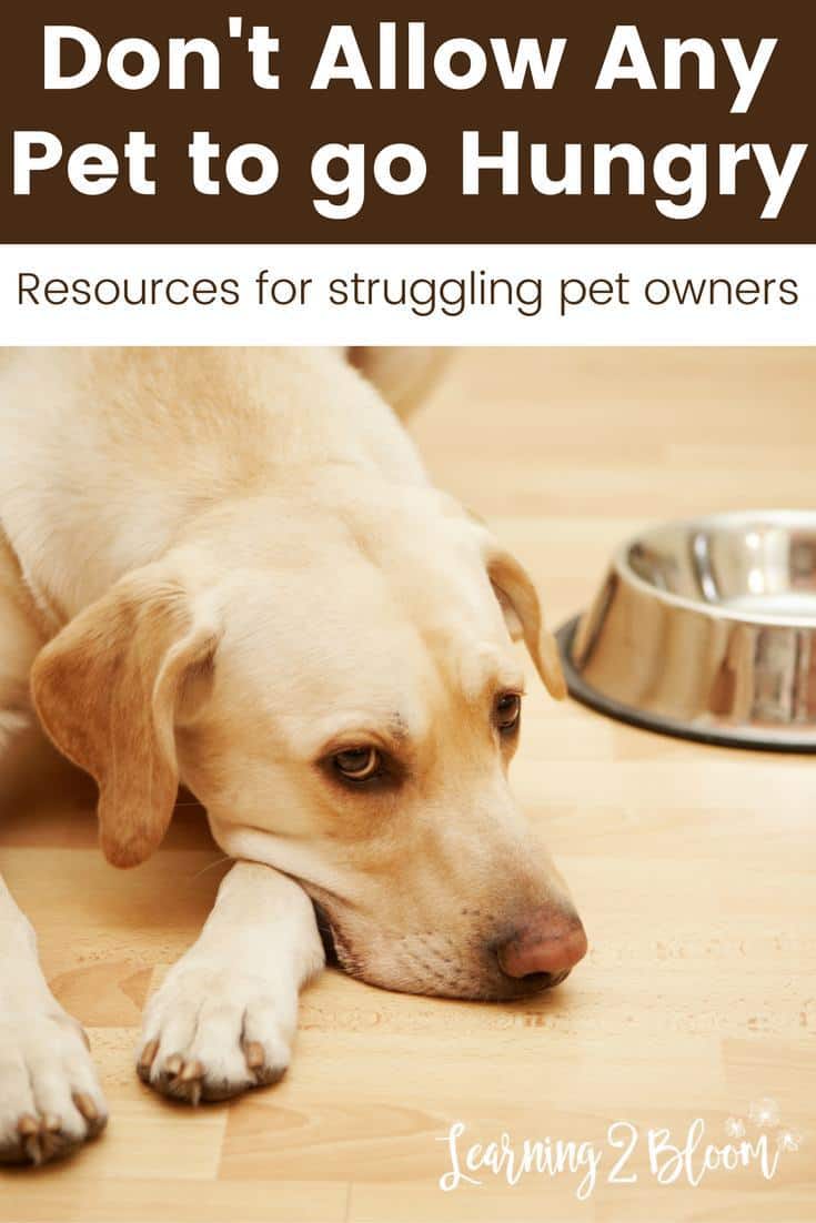 Sad looking dog next to empty bowl "Don't let your pet go hungry. Resources for struggling pet owners."