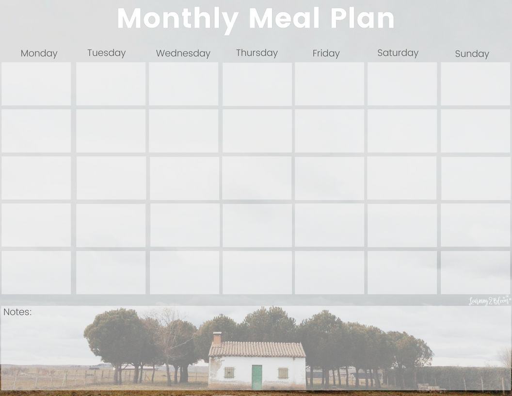 Monthly meal plan example 