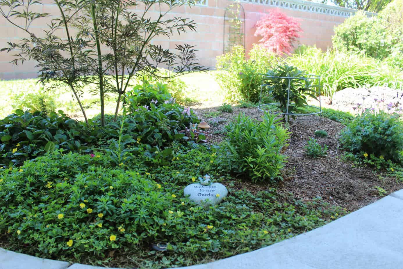 Trees and plants with a cute frog sitting on a rock laying on the ground. Fairy and bridge are near the rock and in the middle of the garden.