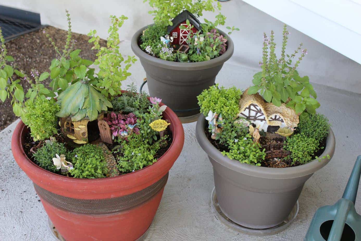 3 potted fairy gardens sitting together outside
