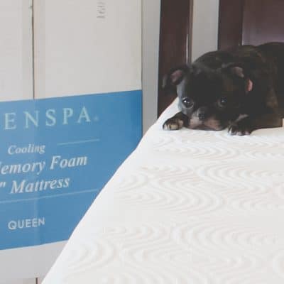 Linenspa gel memory foam mattress review