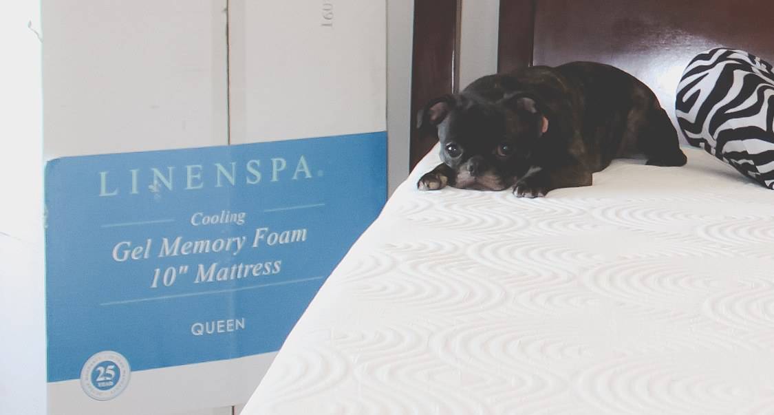 Linenspa gel memory foam mattress review