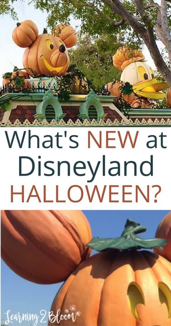 Disneyland at Halloween Time 2019 - Learning2Bloom