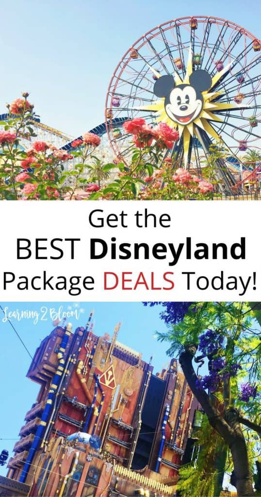 Disneyland 2019 Packages at 2018 Pricing! - Learning2Bloom