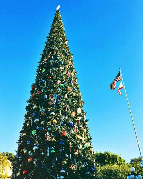 Holiday Christmas tree at Disneyland
