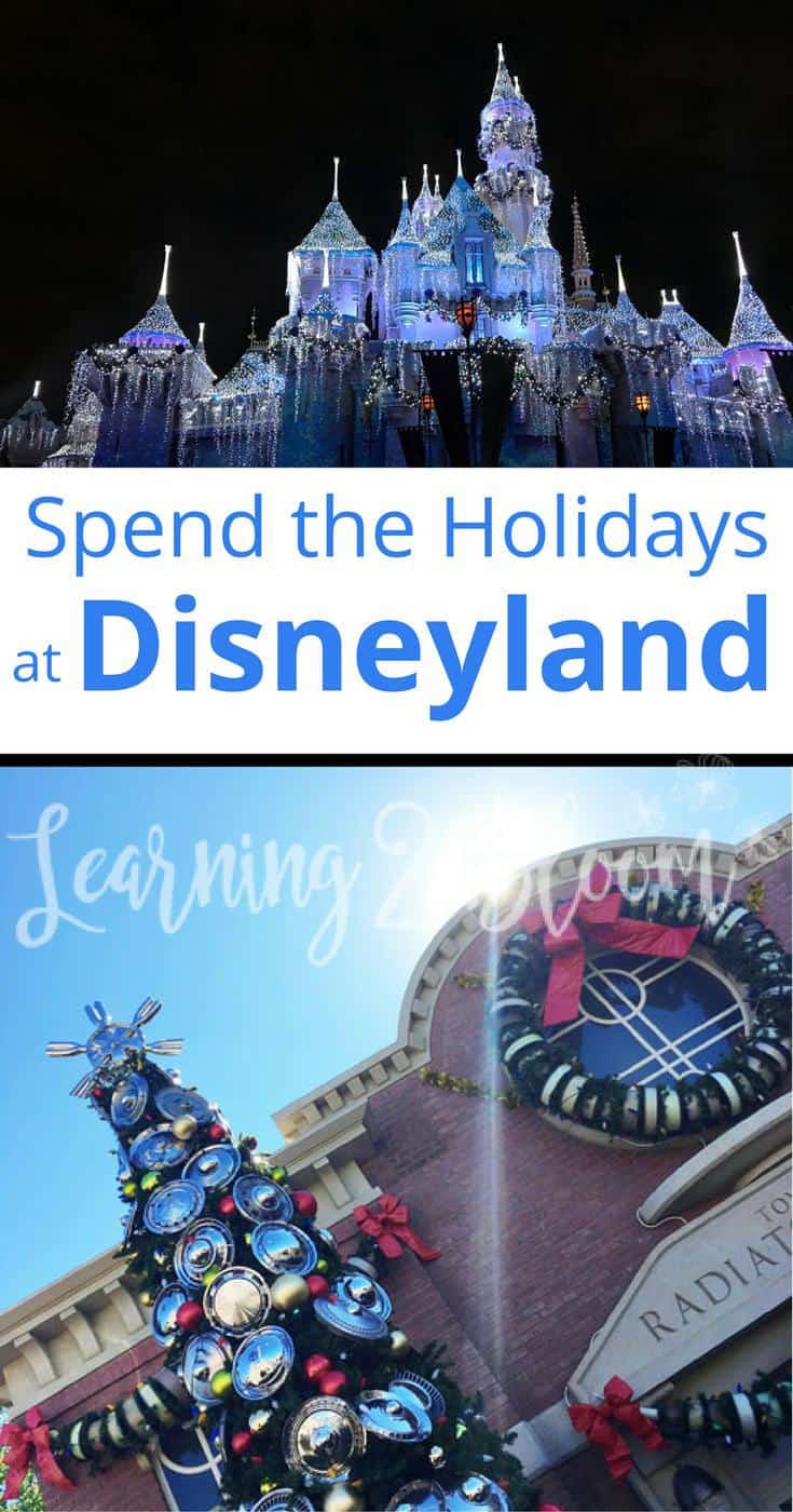 Spend your holiday at Disneyland