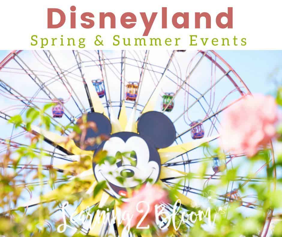 Summer and Spring Events that your family will love at Disneyland. Check out everything new and amazing to plan for your next vacation. 