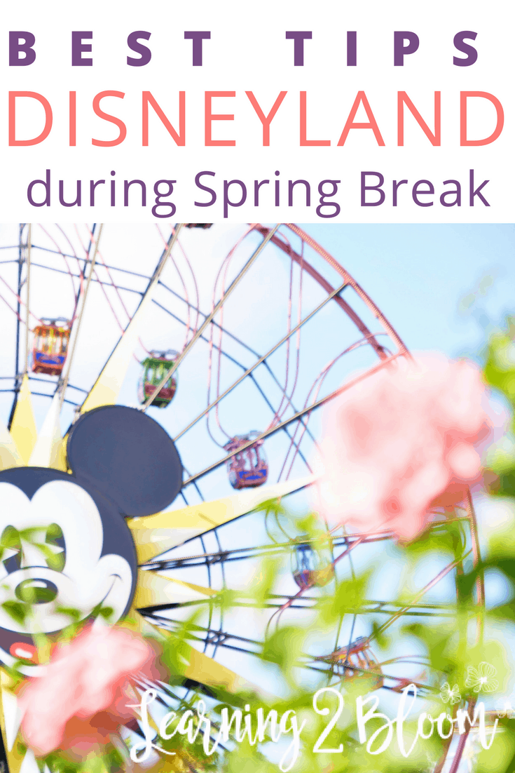 Best Spring break tips at Disney #Disneyland #Disney #Springbreak #familyvacay #familyfun