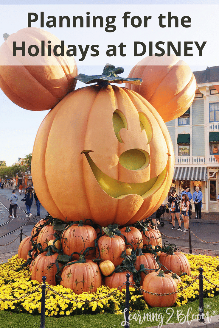 Holiday planning at Disney. Get ready for your next family trip to Disneyland. Take the family on an amazing trip and have the vacation of a lifetime. Learning2Bloom