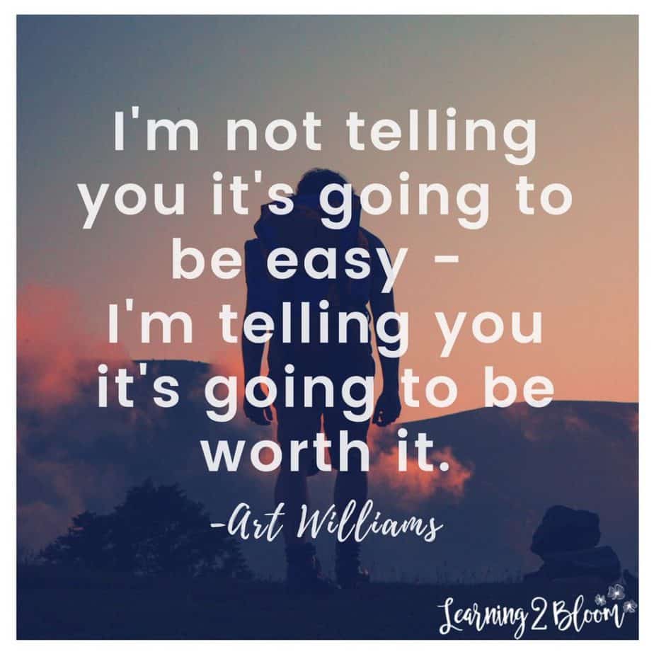 Person looking out at sunset with quote "I'm not telling you its going to be easy - I'm telling you it's going to be worth it."