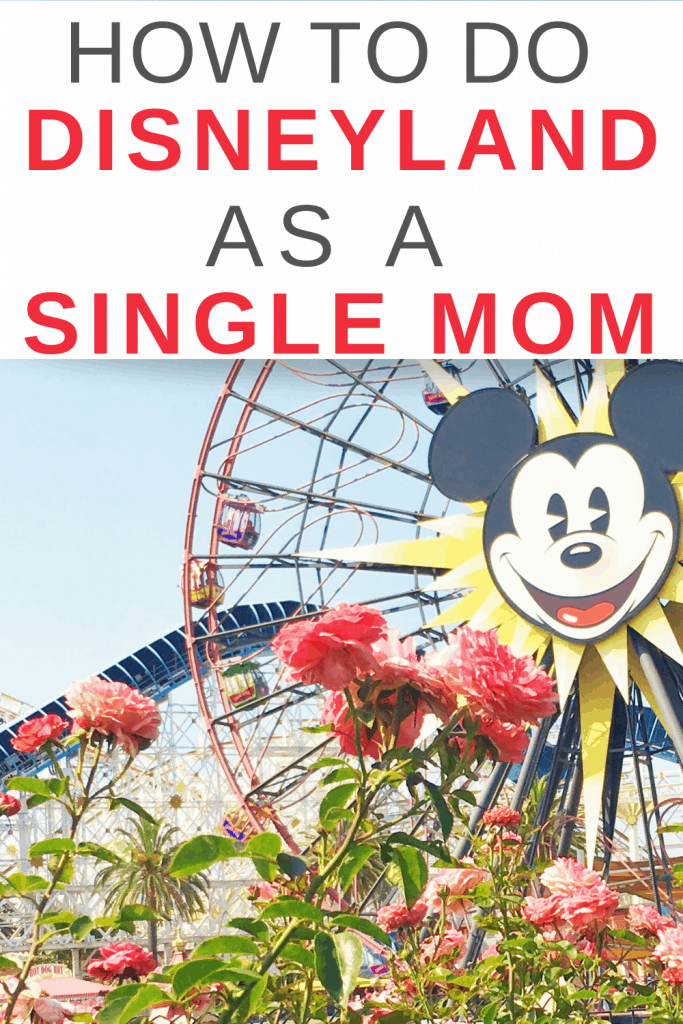 Disneyland Ferris Wheel "How to do Disneyland as a single Parent"